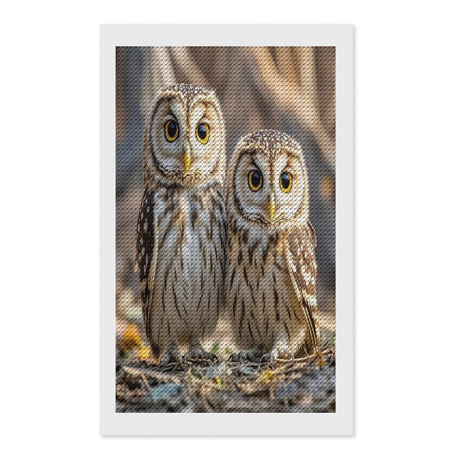 FekiLoot Real Cute Owls Diamond Painting Kits for Adults Full Round Drill Diamond Art Kits for Beginners 5D DIY Diamond Dots Paintings Diamonds Pictures Gem Art Home Wall Decor 12"x20"