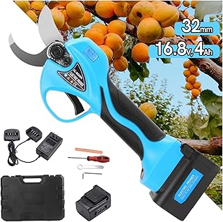 Tesoura De Poda EléTrica, Tesoura de Poda Cortador de Ramo Enxerto com Haste de Extensão 16.8V 2 Bateria Ferramentas Elétricas Ramos Altos Tesoura Elétrica Profissão, Motosserras EléTricas