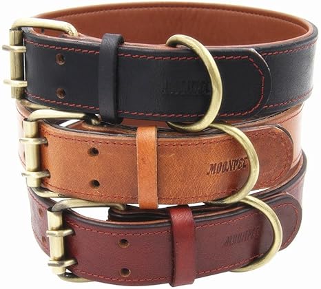female dog collars amazon