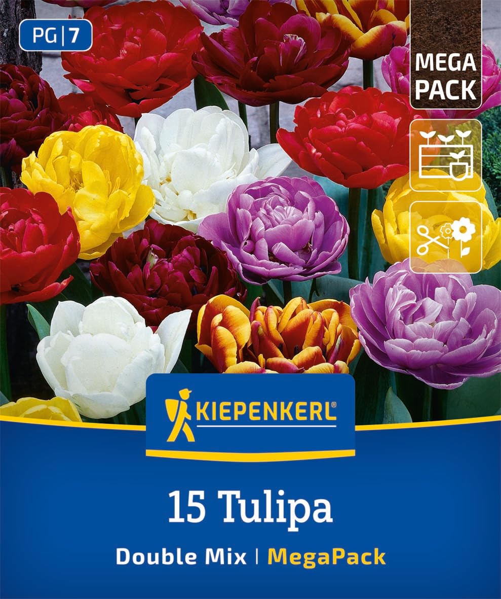 Gefüllte Tulpen
