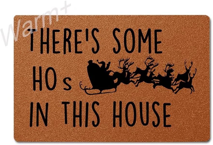 Warm+ Doormat There's Some Hos in This House Door Mat Silk Loop Home Decor Outdoor Indoor Mats for Entry Front Floor Mats 30 x 18 Inches