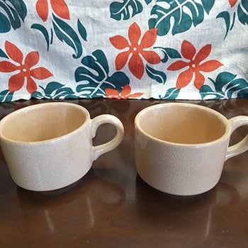 萩焼　極稀模様入りコーヒーカップ　天鵬山作　ペア 萩焼 椿窯 天鵬山造 箱入 珈琲碗 コーヒーカップ&ソーサー 2客