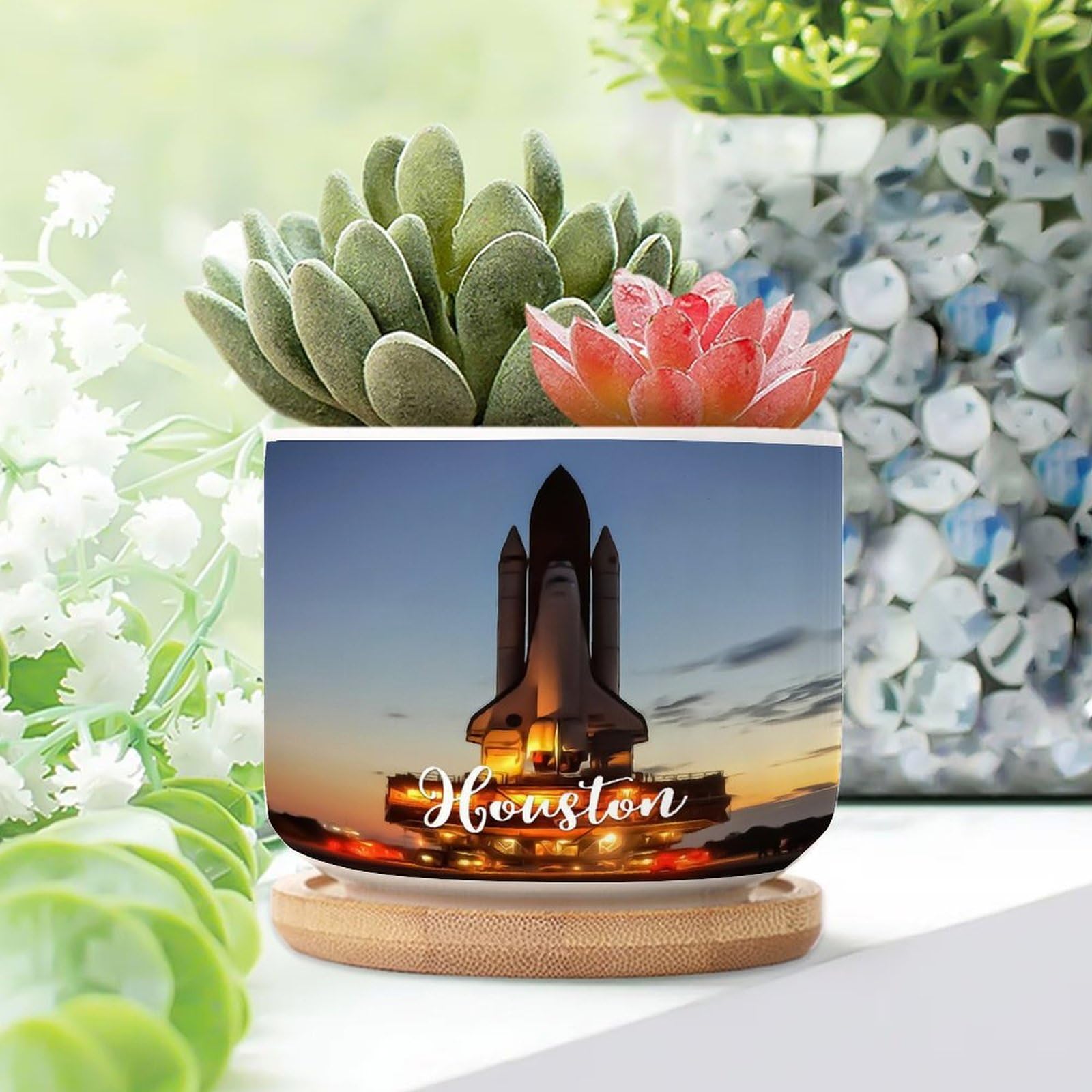 Amazon.com: WoGuangis USA City Houston Small Pots for Succulents Set of 3  American City in Texas Ceramic Planters for Indoor with Drainage Holes  Travel Lovers Gift Cityscape Garden Decor Succulent Pot :