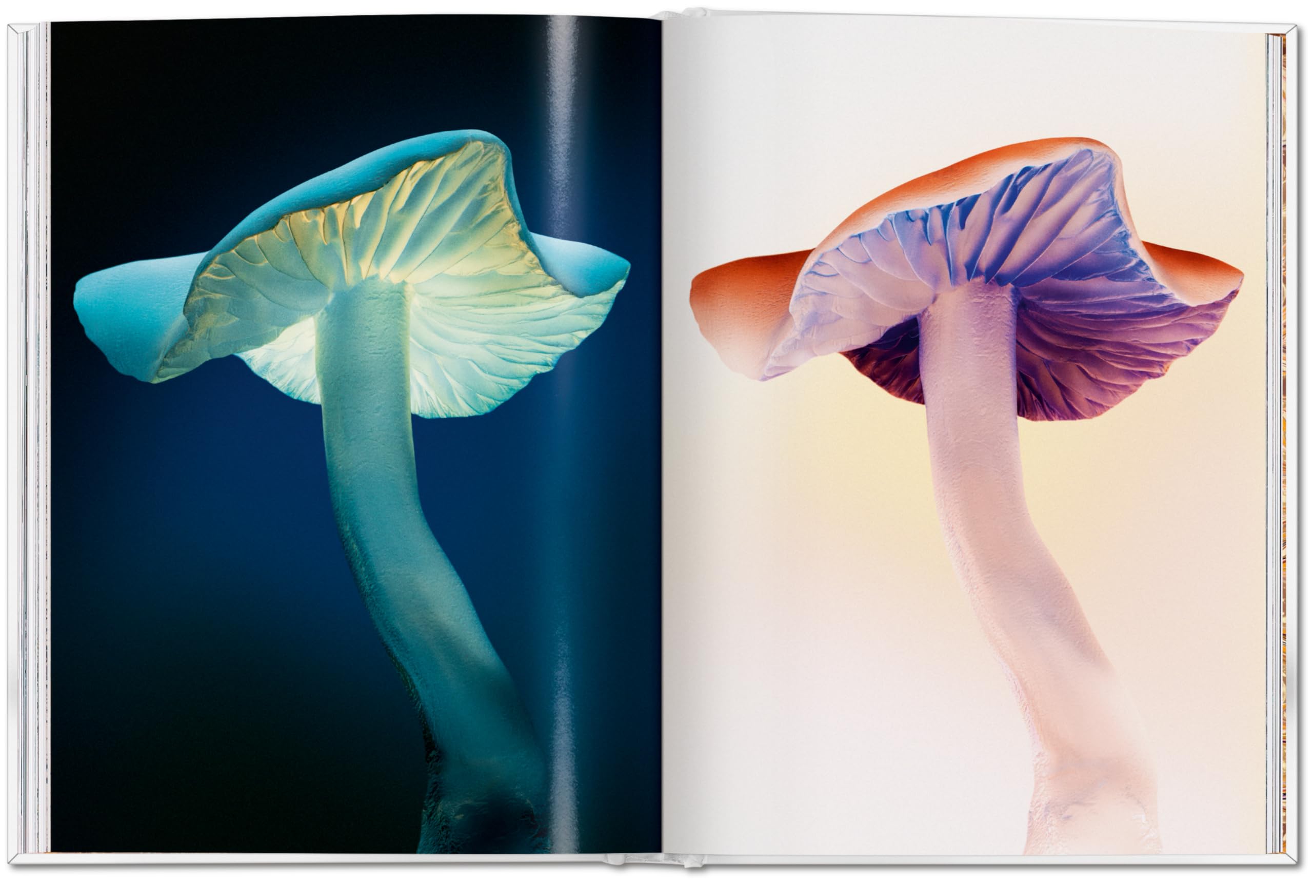The Gourmand's Mushroom: A Collection of Stories and Recipes