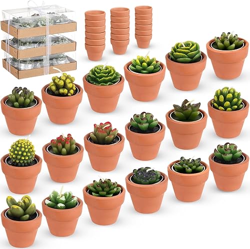 Treela 18 velas de té de cactus suculentas, hechas a mano, velas de té para baby shower, para plantas, regalo con mini candelabros de arcilla de