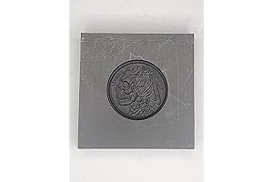 Hobo Coin 3D Graphite Mold