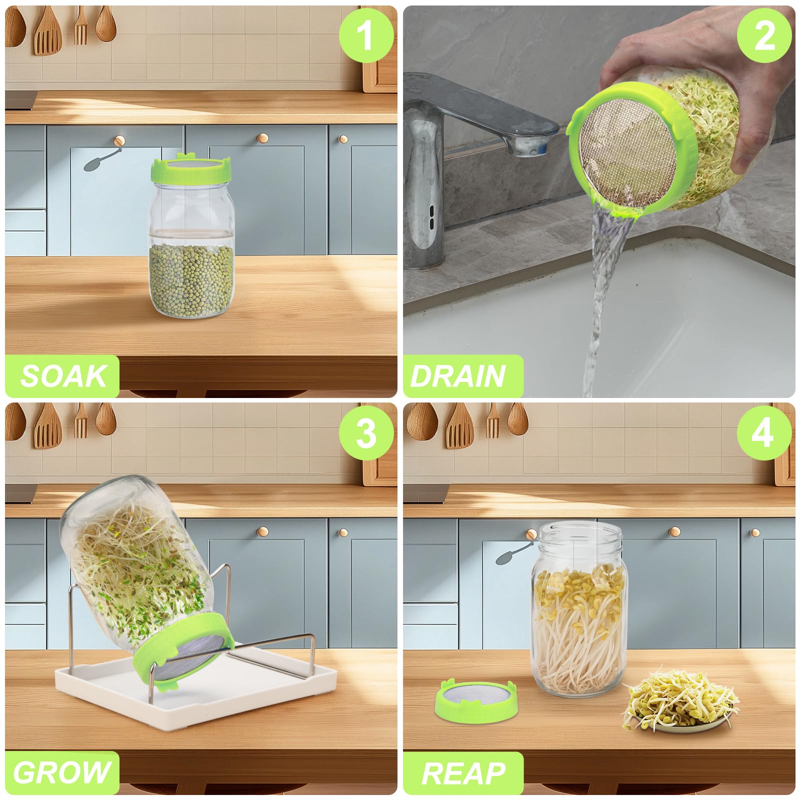 Lulonpon Kit de germination, 2 pots de germination, bocaux Mason à large ouverture avec couvercles en acier inoxydable, kit de culture de germes de 1000 ml, ensemble de germination de graines pour la