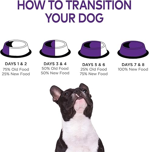 Miniatura 10 de Alimento seco natural para perro, Wellness Complete Health