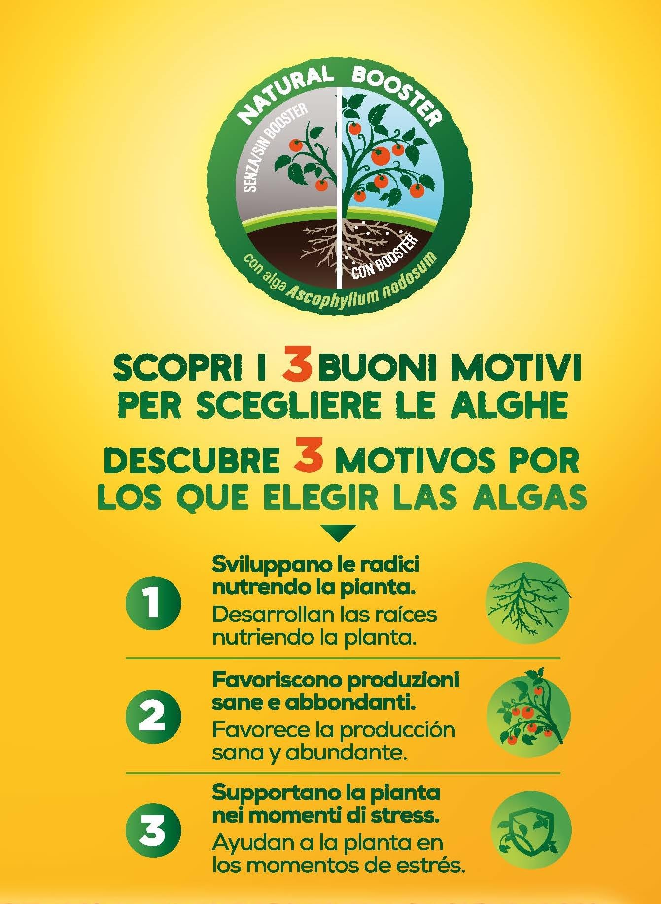 Solabiol Algasan, Concime Liquido Biologico Universale a Base di Alghe Brune con Tecnologia Natural Booster, 1L (Confezione da 3)