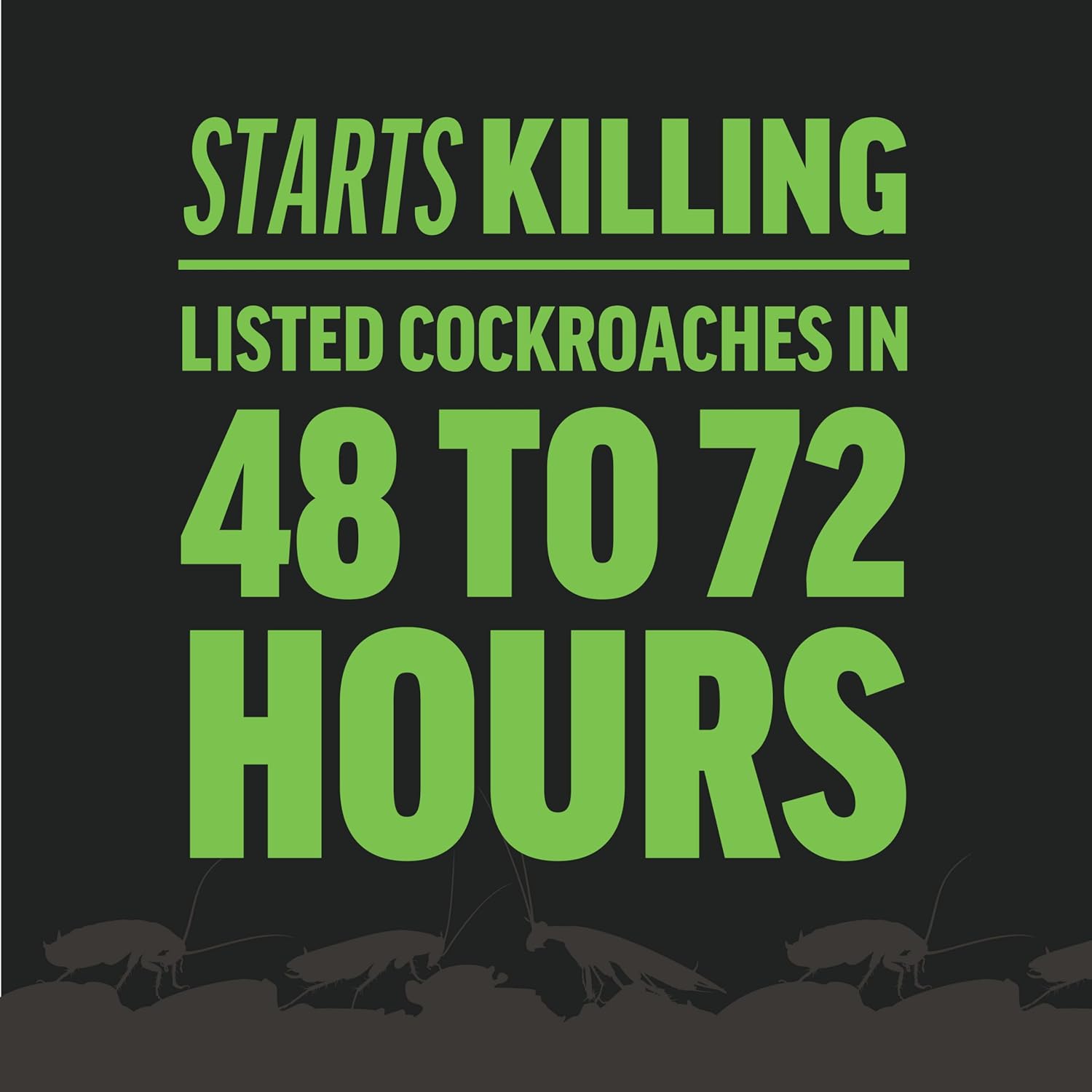 Amdro Roach Killer 2lb