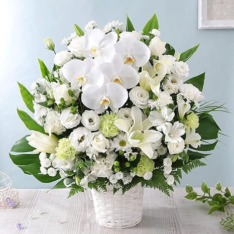Amazon 旬のおまかせアレンジll シルキーホワイト オーキッド 生花 お供え お悔やみ 花 お彼岸 お盆 命日 フラワーアレンジメント オンライン通販 Amazon 旬のおまかせアレンジll シルキーホワイト オーキッド 生花 お供え お悔やみ 花 お彼岸 お盆 命日 フラワーアレンジメント オンライン通販
