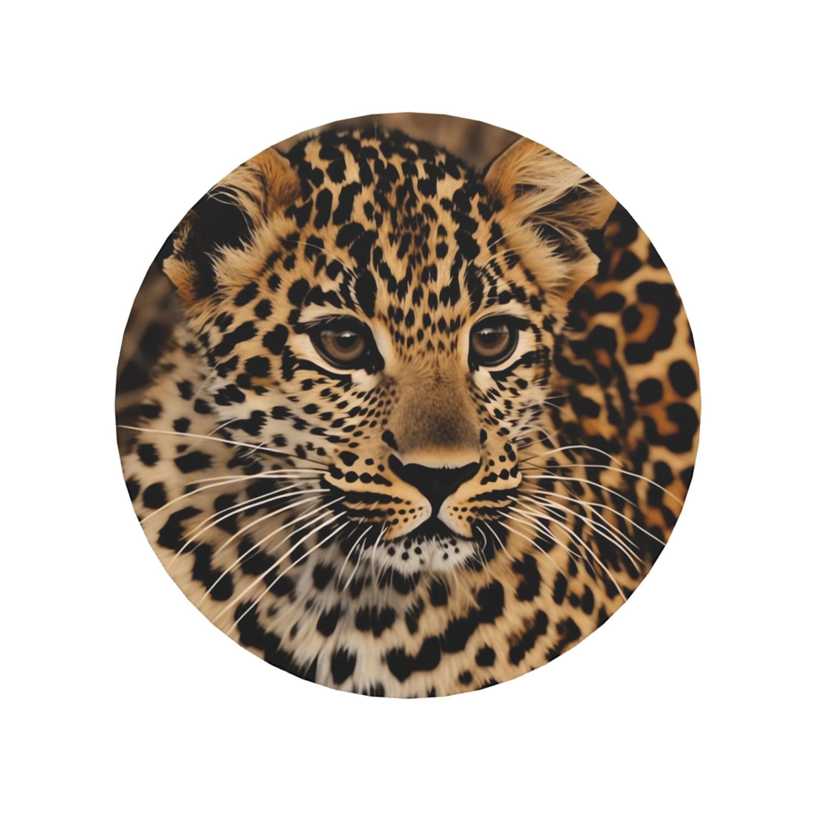 Cute Leopard Fridge Magnets Cute Strong Refrigerator Magnets Fun Magnet for Locker Office Whiteboard Decor, Door Magnets Decorative Magnetic Stickers for Home Decor