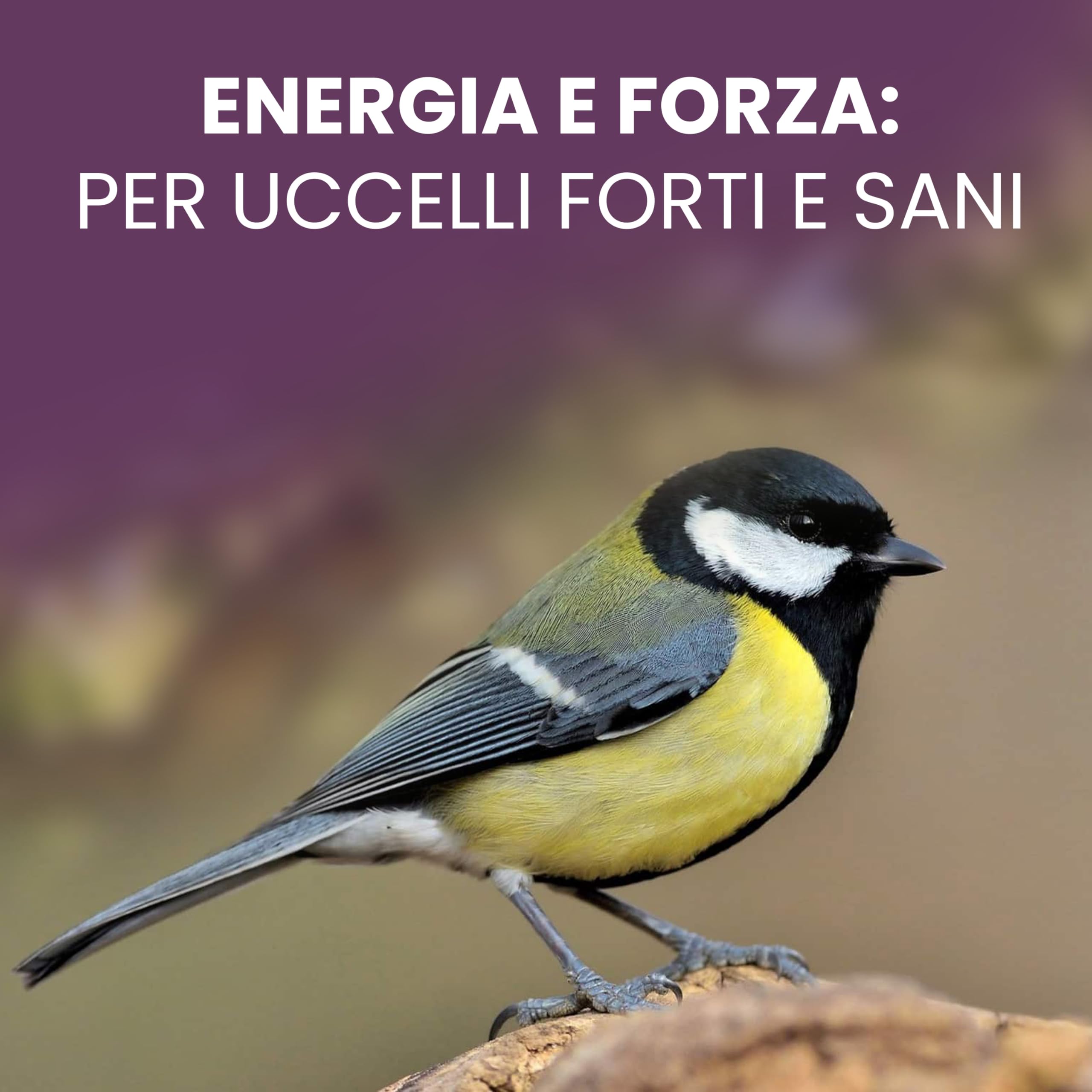 LERAVA Mangime per Uccelli Selvatici 1,7kg Semi per Casette e Aree Protette