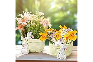 Adorable Bunny Vase: A Hoppy Addition to Your Decor