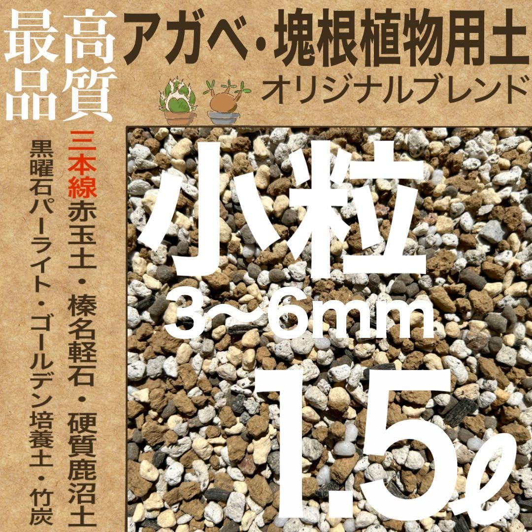 【三本線赤玉土使用】アガベ・塊根植物用土「小粒」 20㍑グラキリス 現地株 実生 Amazon｜三本線赤玉土使用アガベ・塊根植物用土「小粒」 1.5