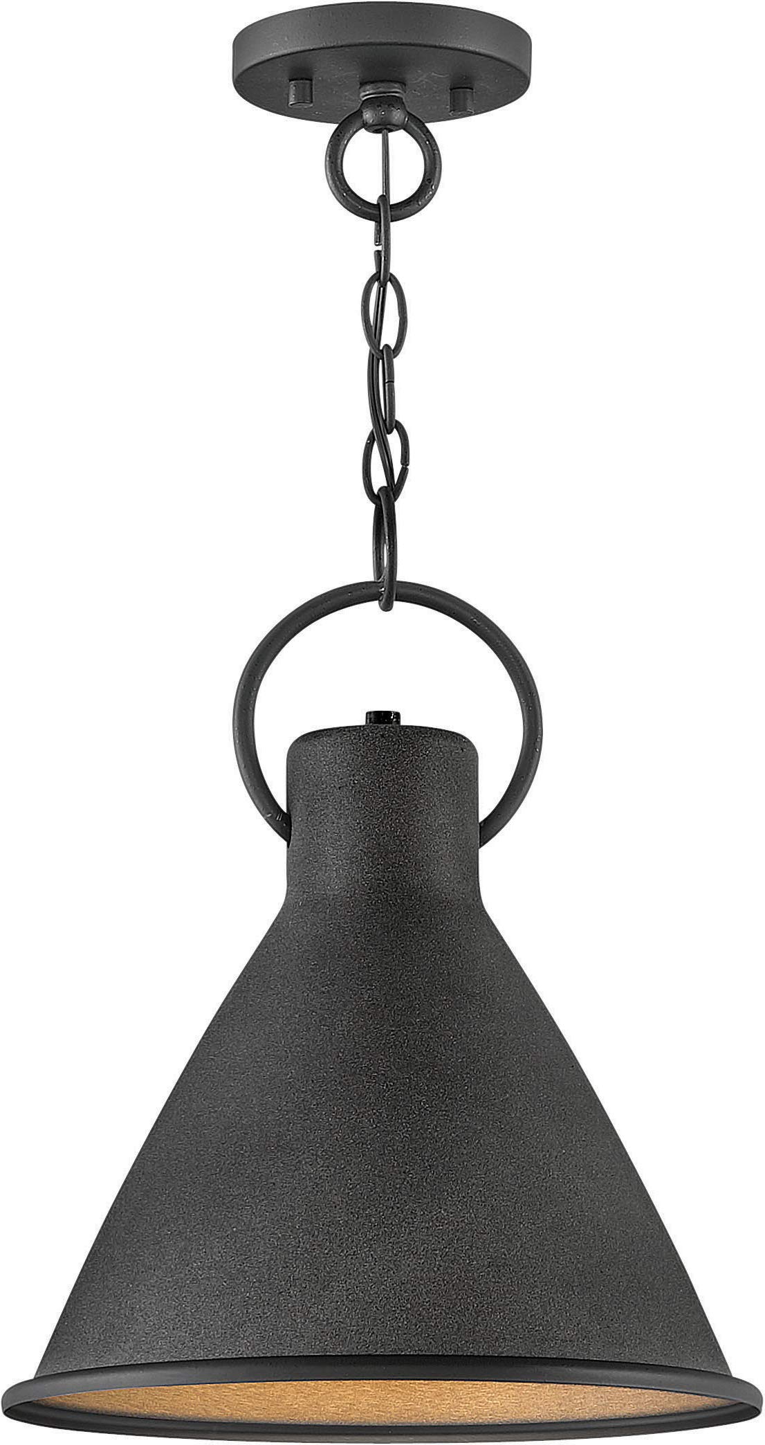 HinkleyWinnie Medium Pendant - Farmhouse Style, 1-Light, Tapered Design - Aged Zinc with Distressed Black Accents