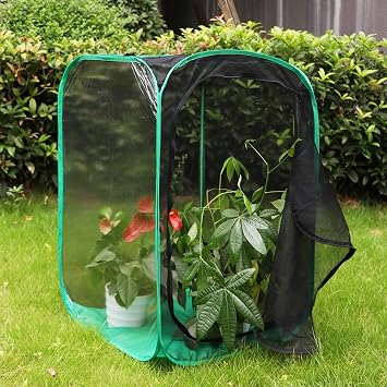 RESTCLOUD 36 Large Monarch Butterfly Habitat, Giant Collapsible Insect Mesh Cage Terrarium Pop-up 24 x 24 x 36 Inches