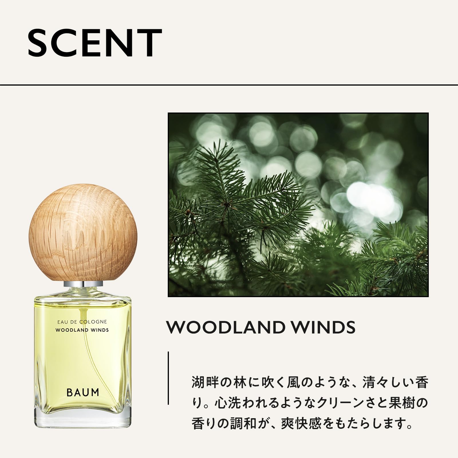 Amazon.co.jp: Baum Eau De Cologne WOODLAND WINDS 2.4 fl oz (60 ml