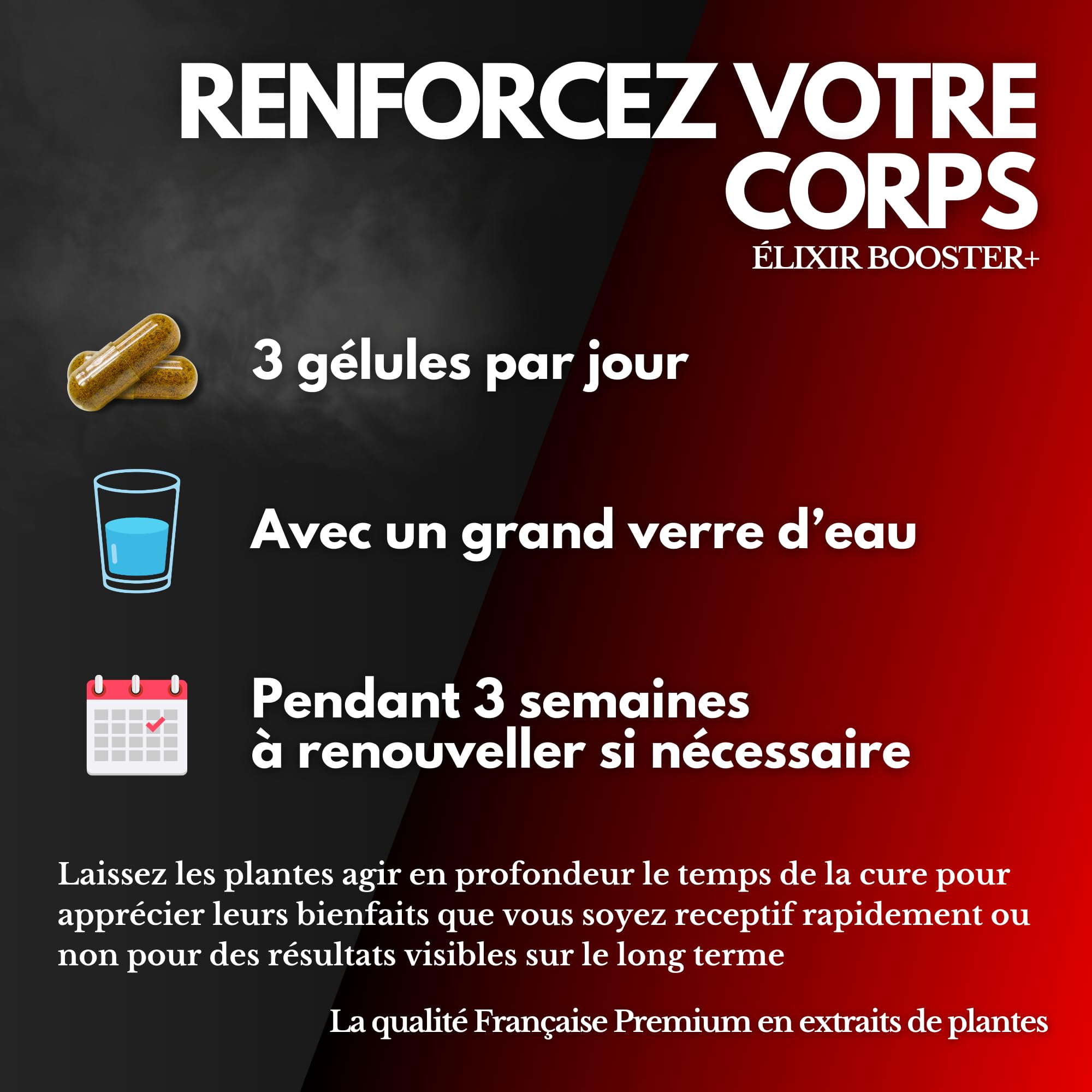 Extrait de Ginseng Rouge de Corée | Extra Fort 6000mg/jour 60 Gélules | Énergie, Vigueur, Circulation Sanguine Concentration | Panax Meyer 10:1 + Eleuthérocoque + Rhodiola | Qualité Française Vialixir
