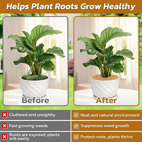 Vista 75 de Legigo 20 alfombrillas protectoras de fibra de coco, anillo de fibra de coco, 11.8 pulgadas, anillo de protección de fibra de coco natural, cubierta