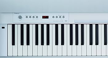 Roland F-120-WH Digital Piano : Amazon.com.au: Musical