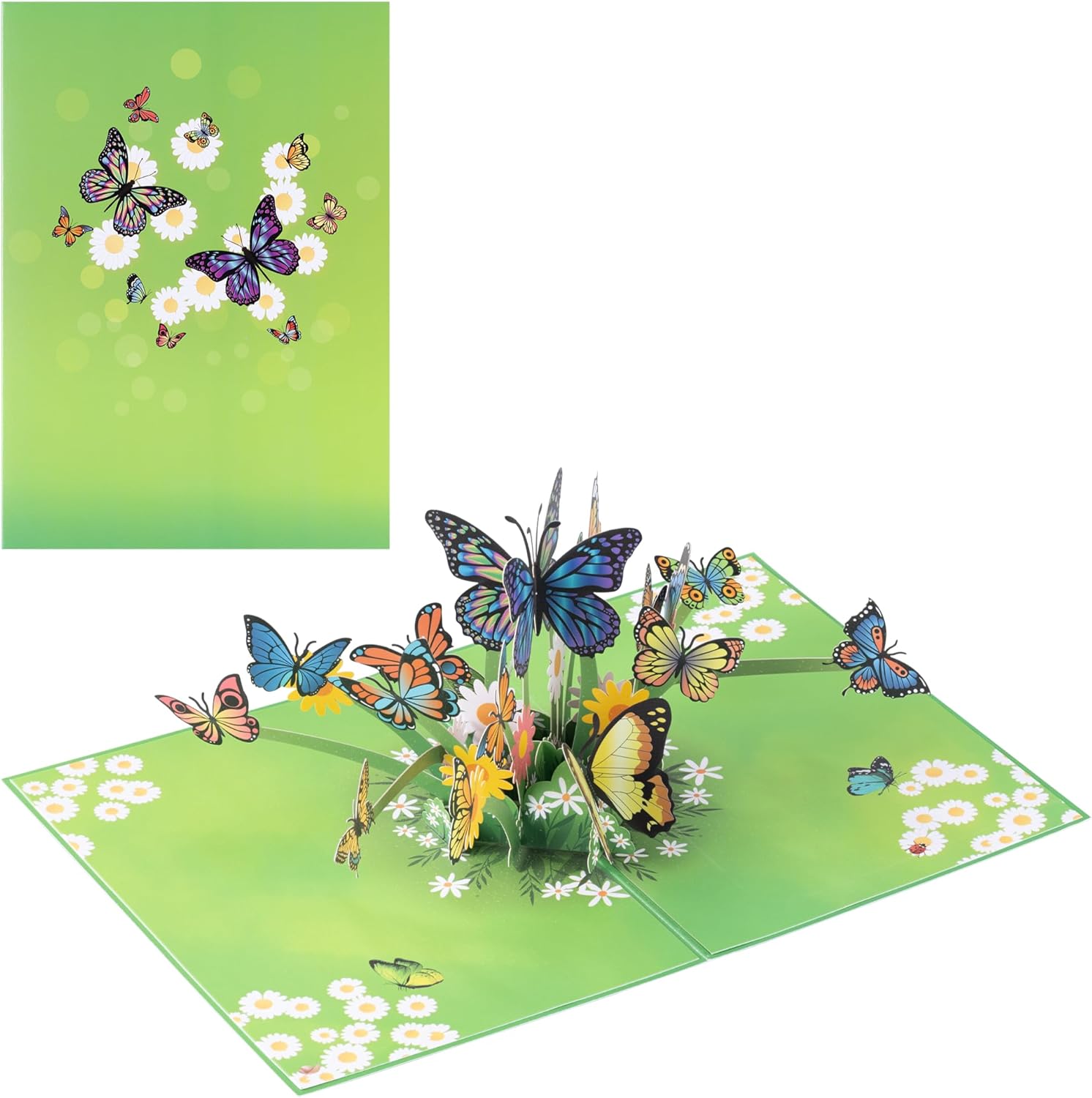 Diese-Klappkarten 3D Pop Up Geburtstagskarte - Geburtstagsgrußkarte für Frau Mann mit Umschlag Diese-Klappkarten 3D Pop Up Geburtstagskarte - Geburtstagsgrußkarte für Frau Mann mit Umschlag