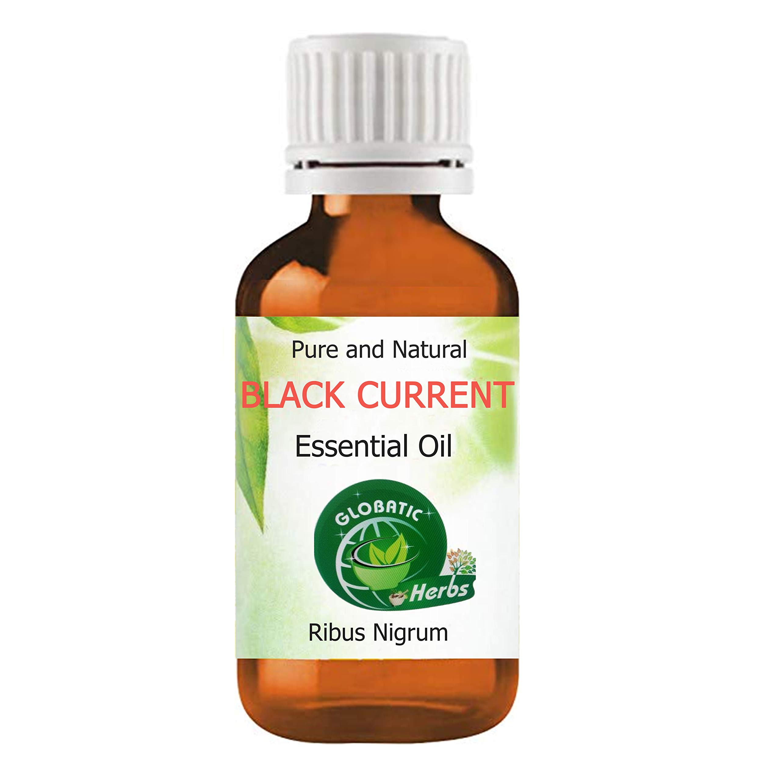 Globatic Herbs BLACK CURRANT Essential Oil 15ml Organic/Vitamin C /100% therapeutic grade