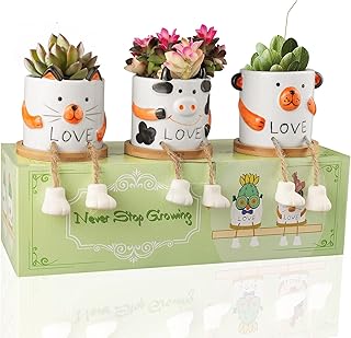 GREENER Ceramic Animal Succulent Planter Pot 3pcs with Drainage & Bamboo Saucers-Ideal Gift Birthday/Christmas Cute Bear C...