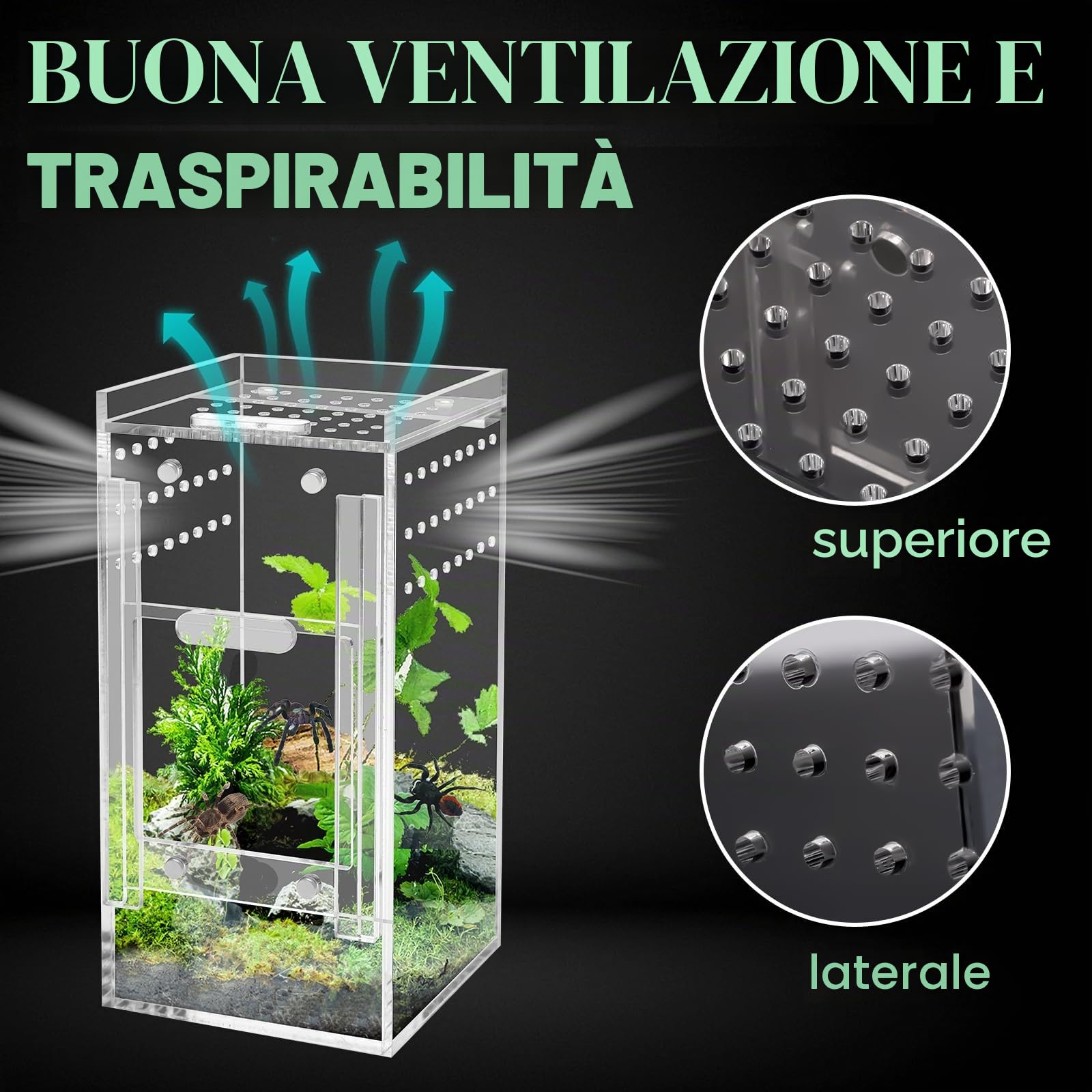 Windspeed - Recinzione per ragni che saltano, in acrilico, per micro habitat, per arboree, tarantole, lucertole, gechi, ragni che saltano, scatola acrilica per terrari
