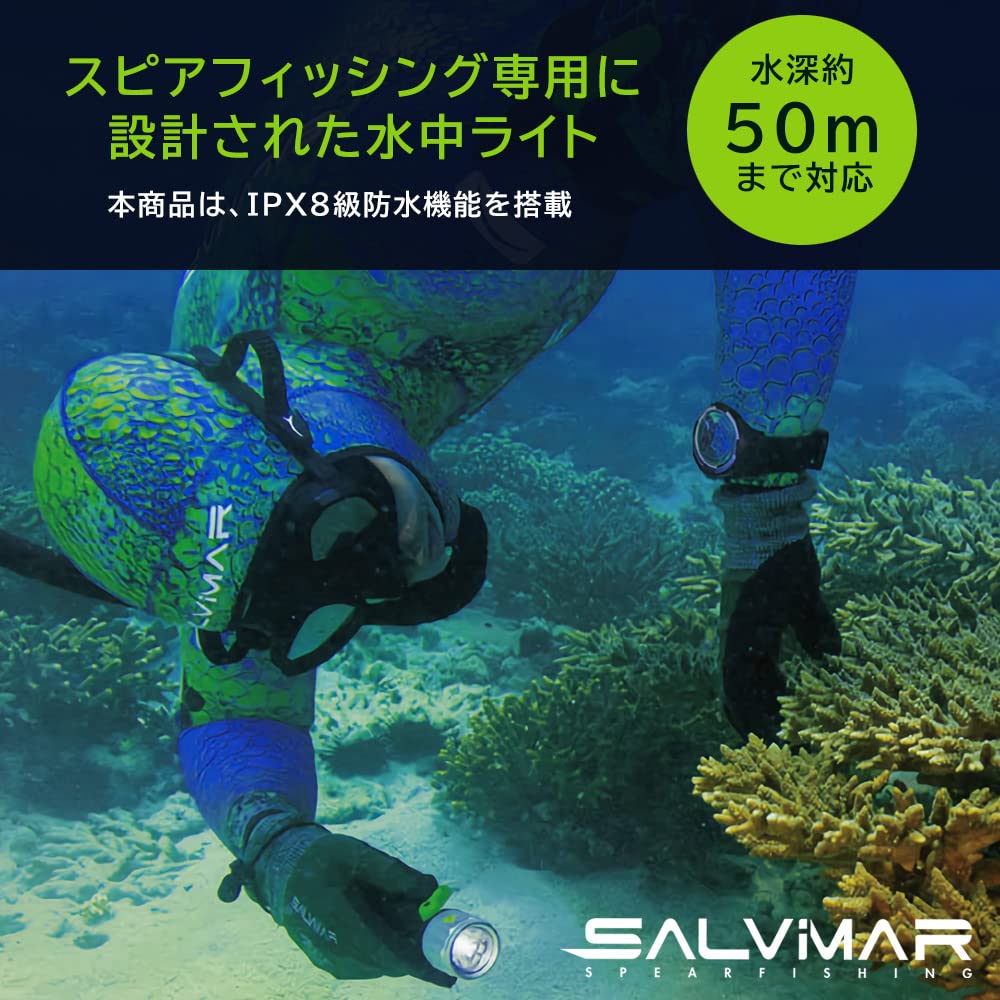 Amazon.co.jp: Salvimar (サルビマー) LECOLED 水中ライト [ 340 