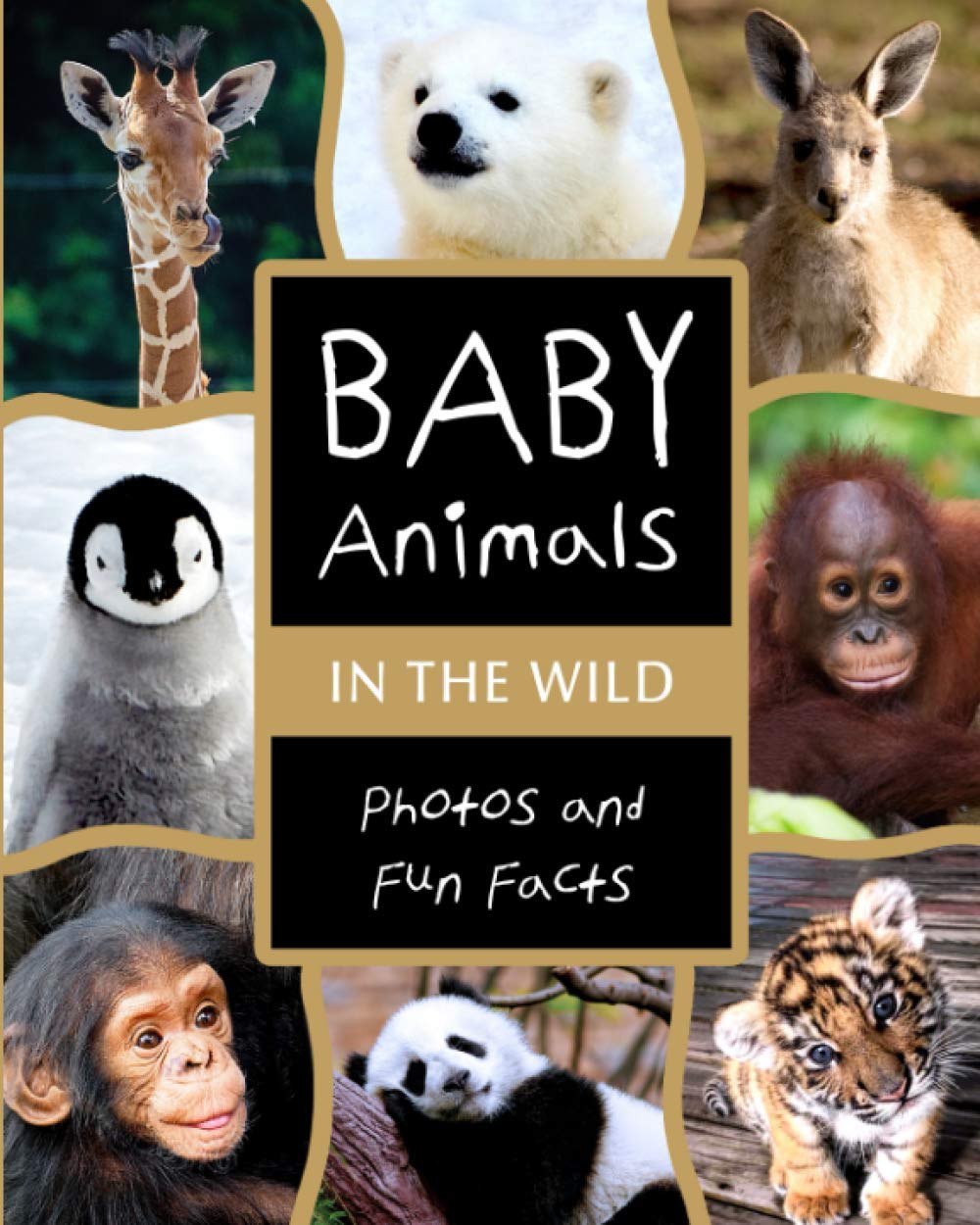 Baby Animals in the Wild: Photos and Fun Facts