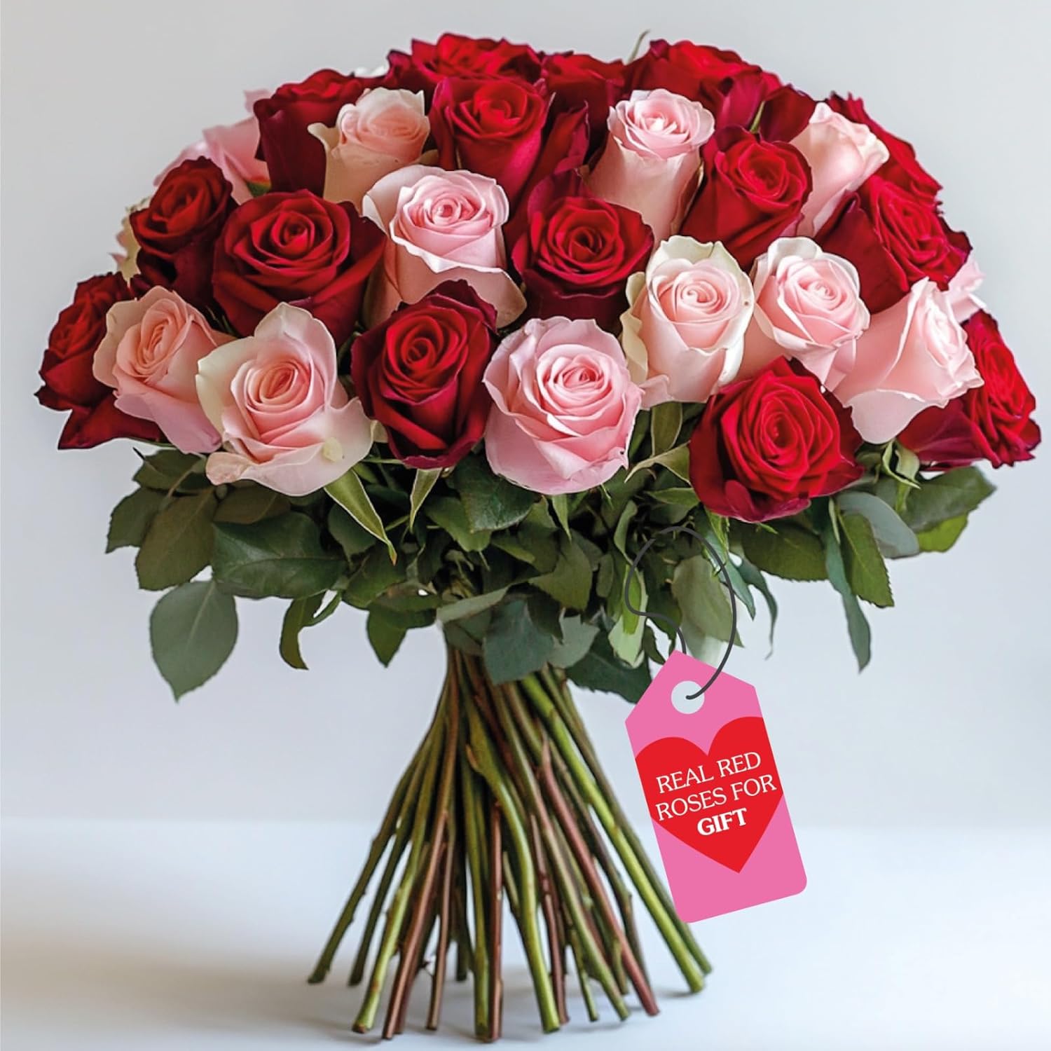 GlobalRose Fresh Cut Red & Pink Roses - 50-25 Red & 25 Pink - Real Fresh Flowers Bouquet for Wedding, Birthday, Anniversary, Mother's Day or Home Decor - Flowers Delivery Gift (OM)