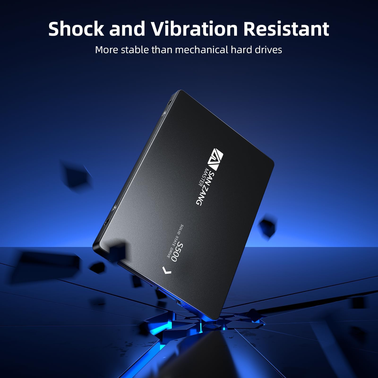 Amazon.in: Buy SAN ZANG MASTER 2.5 Inch SATA SSD 1TB Internal Hard