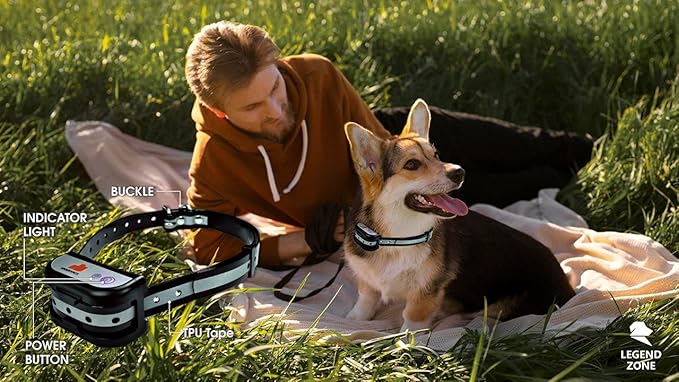 bark collar electric fence combo