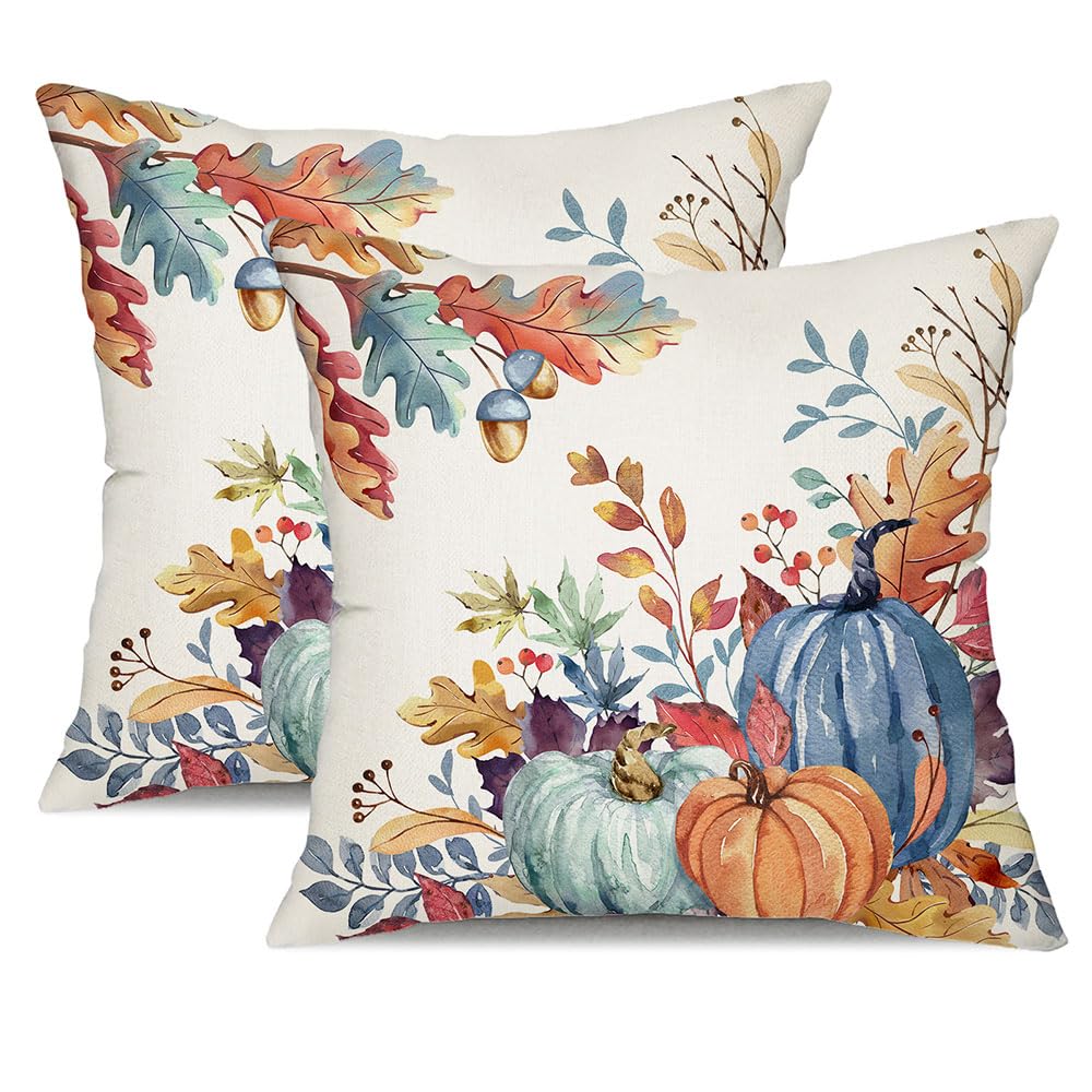 DFXSZ Watercolor Pumpkin Covers, Set of 2