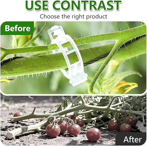 Miniatura 6 de FXOICMI Clips de soporte para plantas, clips de fijación de jardín de plástico para plantas trepadoras, vides de tomate y uva, clips de jardín de