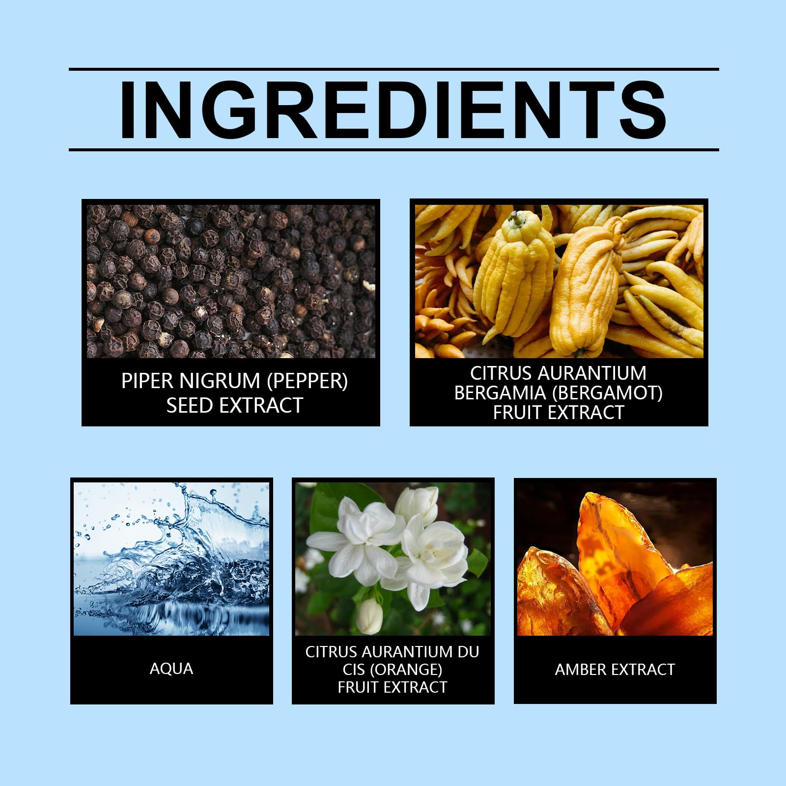 META-BOSEM Tiger Blank for Men Cologne Woody Fragrance, Eau de Toilette Natural Spray - Gentle Fresh Scent - Holiday Gift, 3.4 Fl Oz/100 Ml