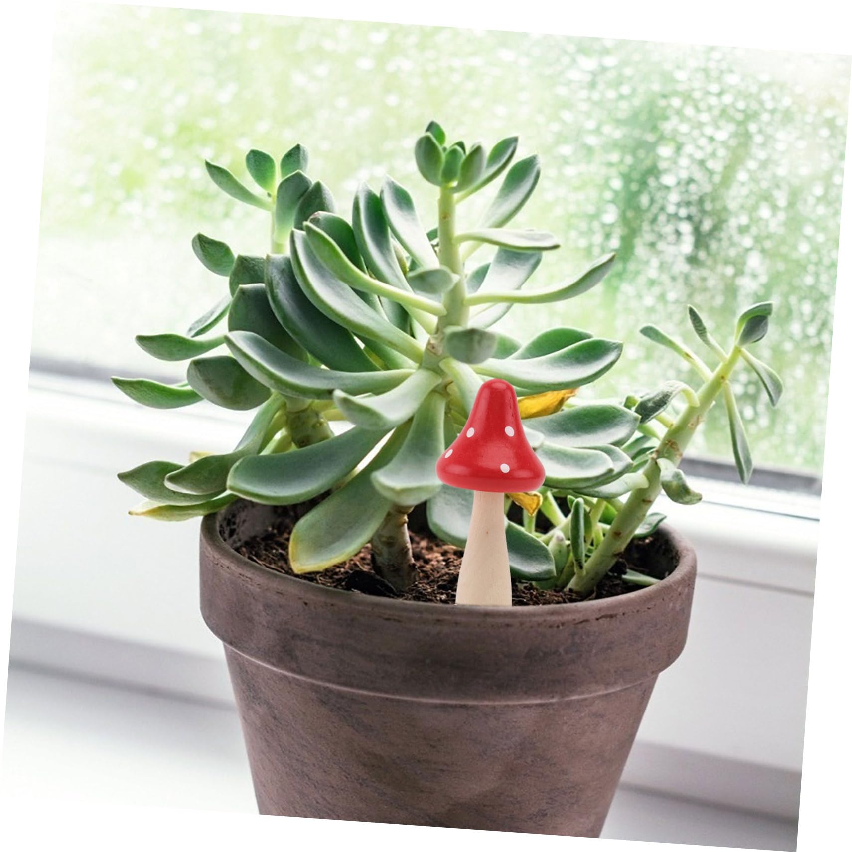 Mipcase 30 Pièces Grand en Bois Ornement Bonsaï Figurines Miniatures Bonsaï Décoration Miniature Décoration De Mini Bonsaï Micro Paysage Décor Mini- Rouge