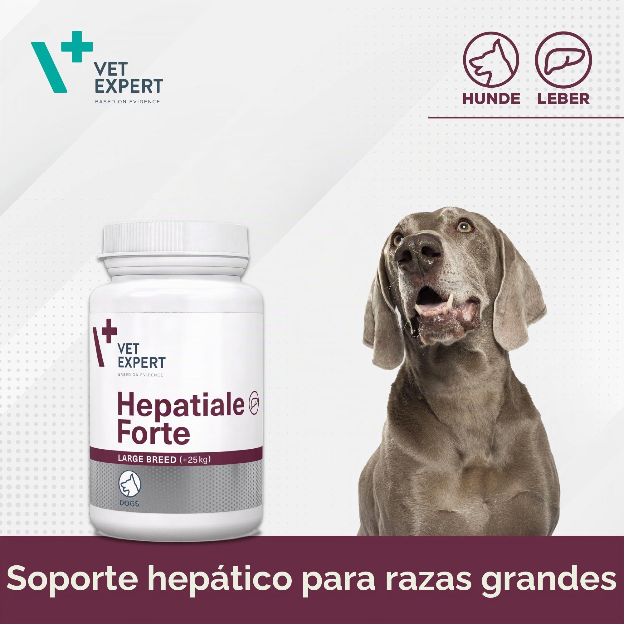 VetExpert Hepatiale Forte Large Breed | Paquete Doble | 2 x 40 Tabletas | Suplemento Dietético para Perros Grandes | Función Hepática Natural