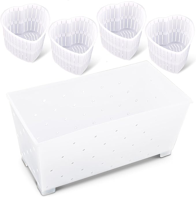 Cheese Molds for Cheesemaking Set of 5 Made in Italy