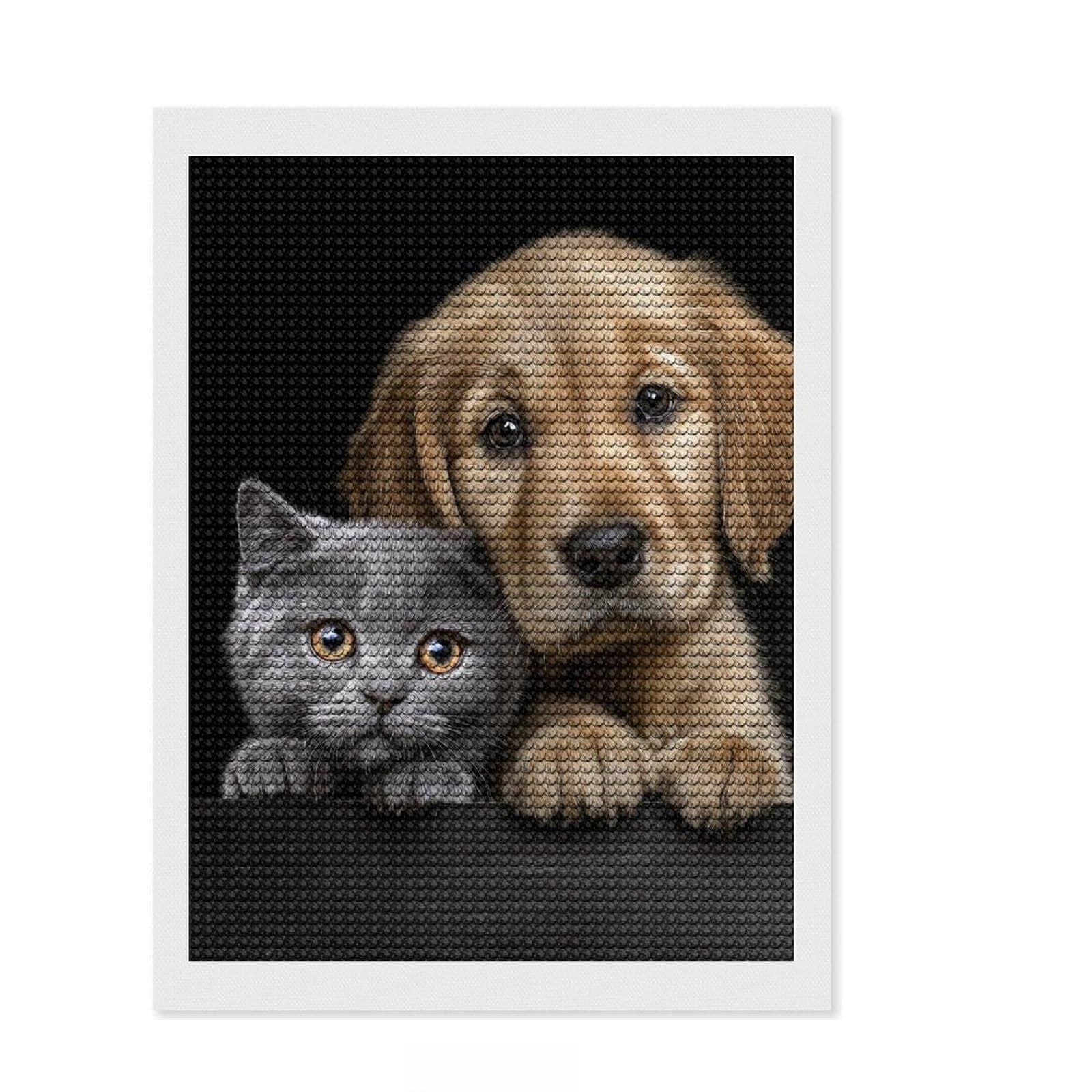 Junmoney Cute Pet Duo Cat and Puppy Diamond Art Kit 12"x16", Relaxing DIY Hobby, Easy to Follow Symbols, Cosy Home Accent, Festive Craft Gift