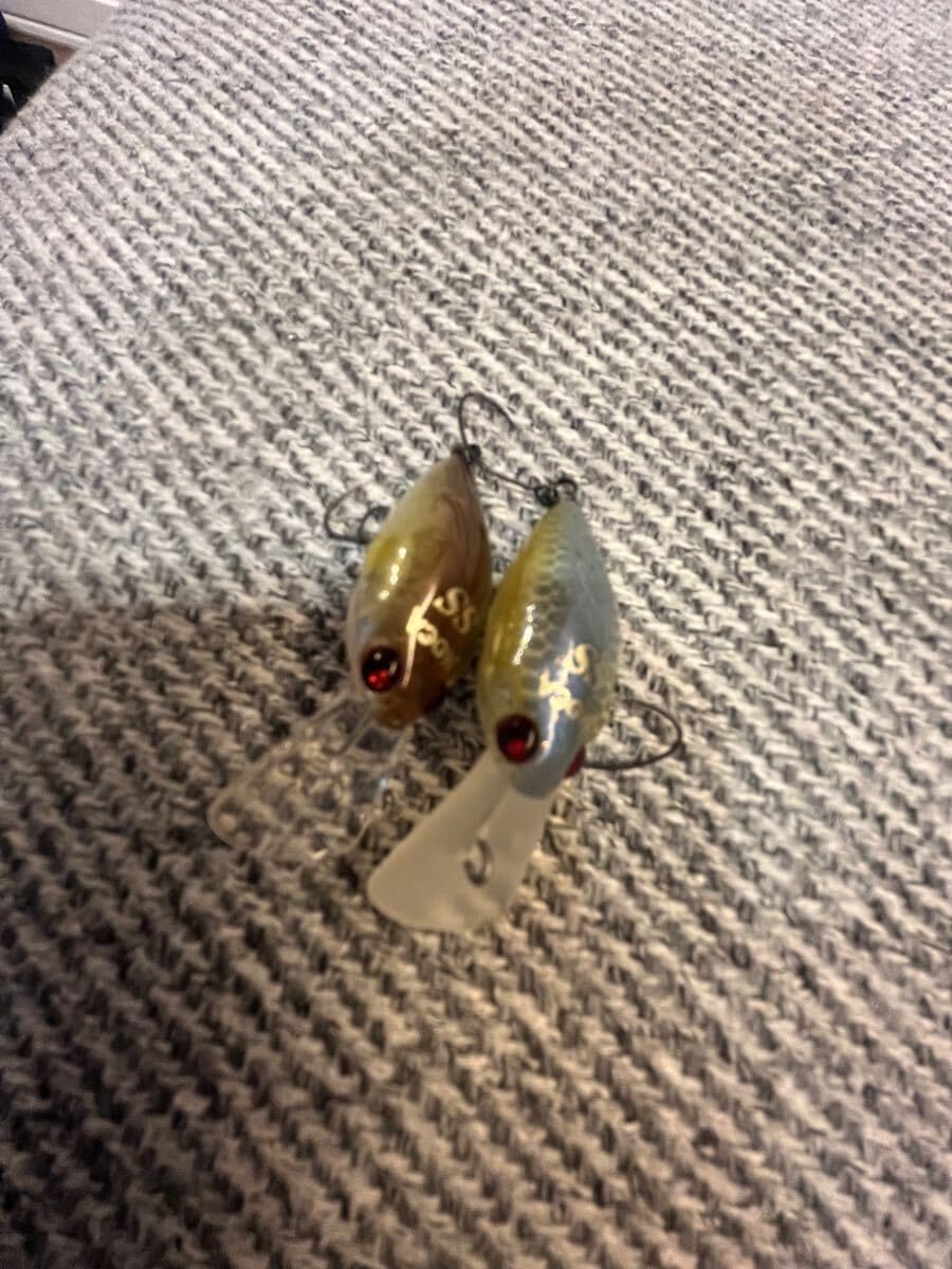 ロデオクラフト モカ DR SS ルアーマガジン限定 超 セクシーシャッド