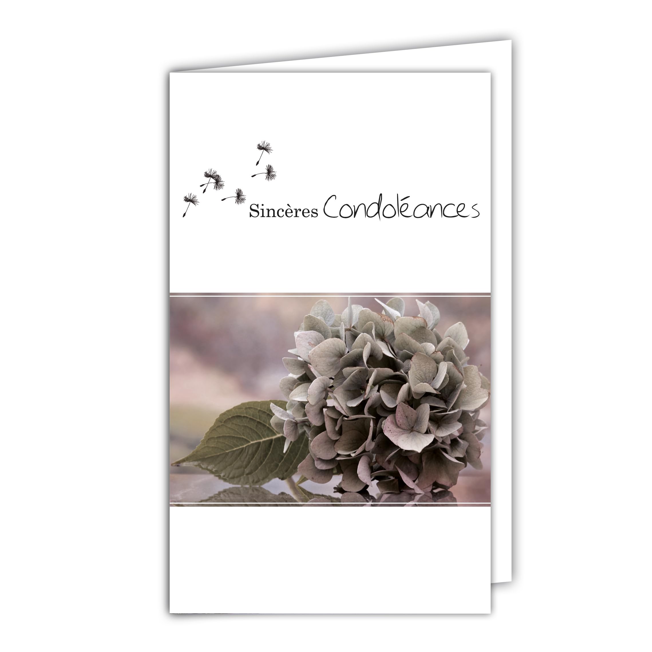 24-1006-B Sincere Sympathy Card with White Envelope 10 x 16.5 cm - Flower Hydrangea Seeds of Dandelion Modern Contemporary Design Clean Grey Pink Silver Shiny Mourning Death