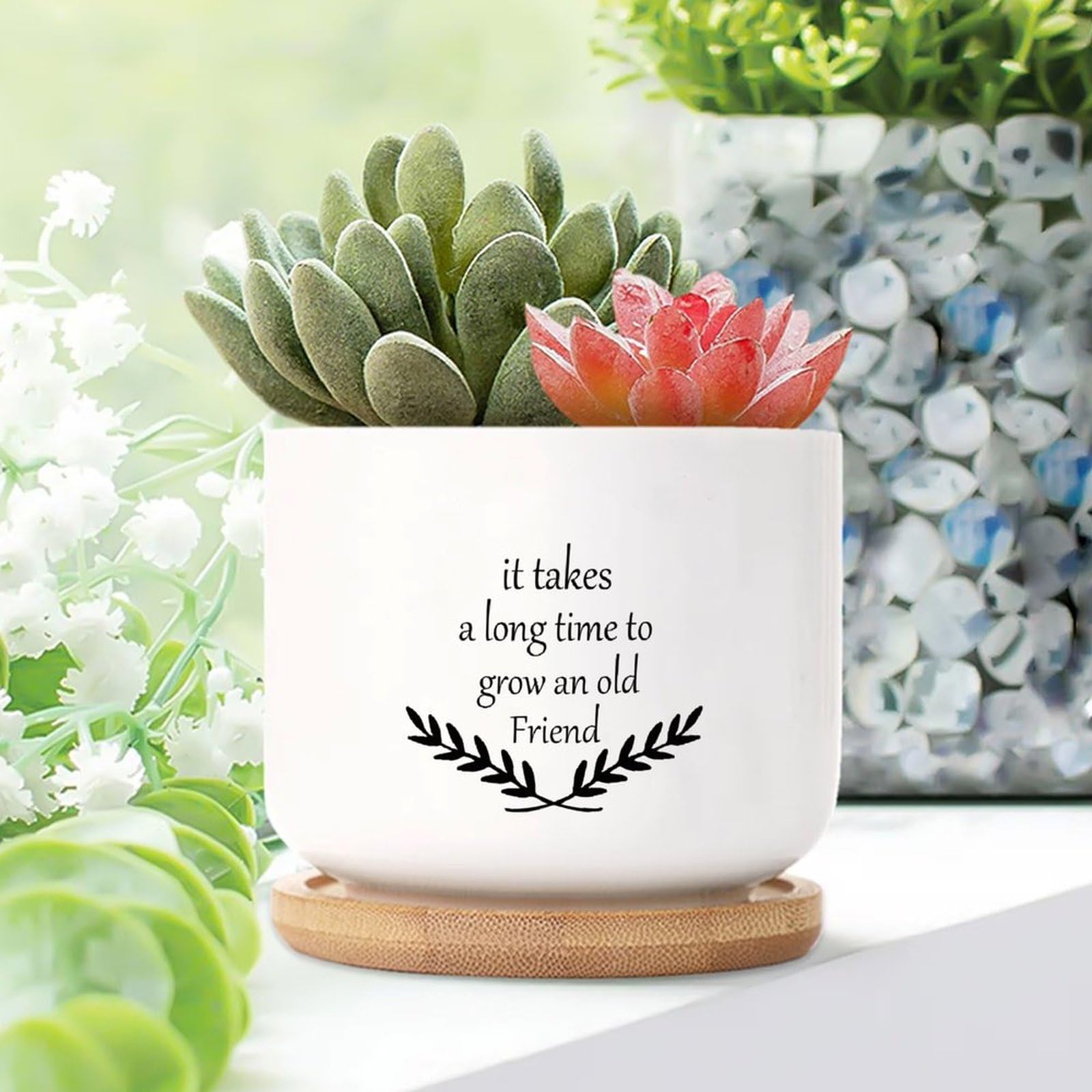 Yelolyio It Takes A Long Time to Grow An Old Friends Planters Ceramic Saying Quote Round Plant Pot With Drainage Holes And Bamboo Tray Pot For Pots Outdoor Indoor Plants