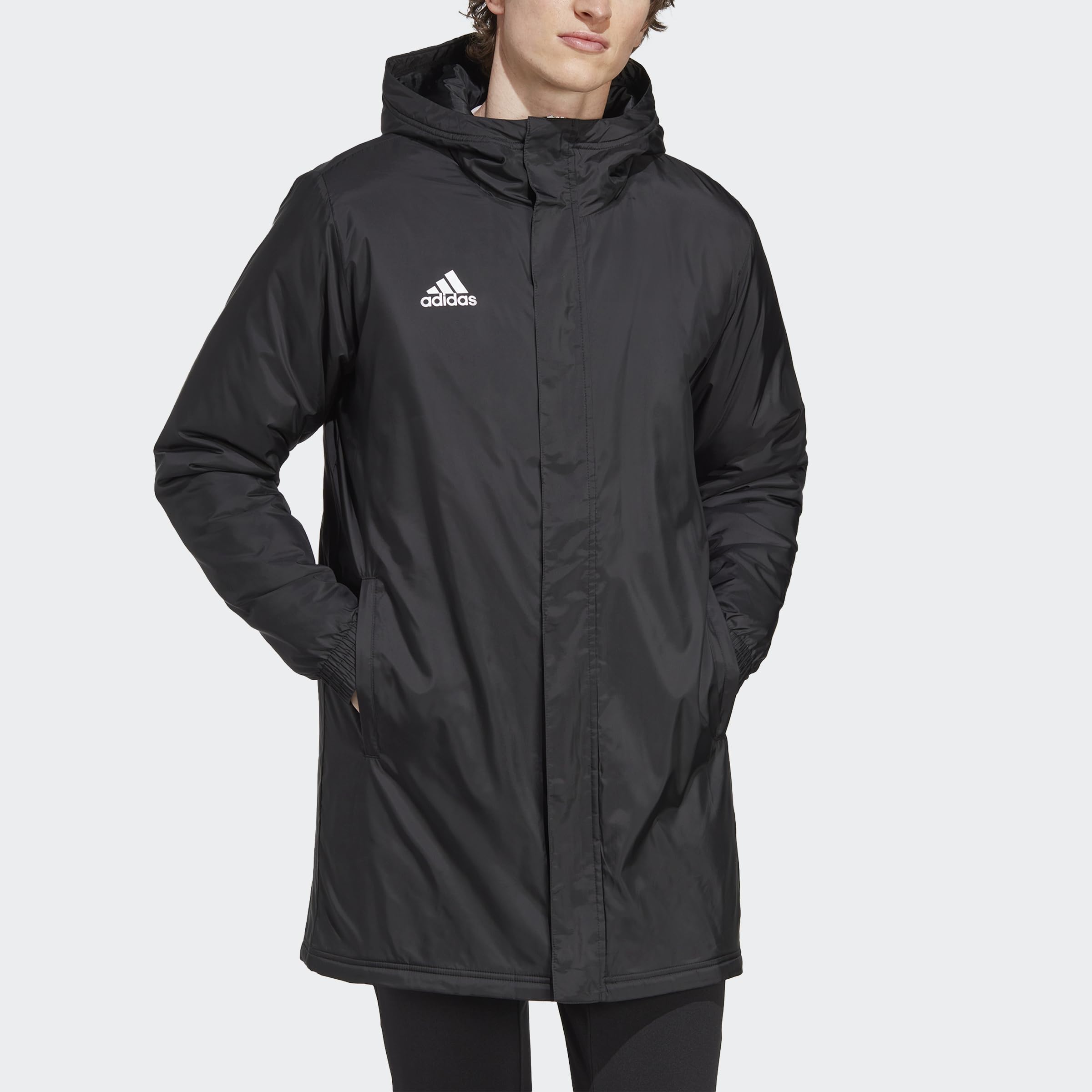 adidas Uomo Entrada 22 Stadium Jacket