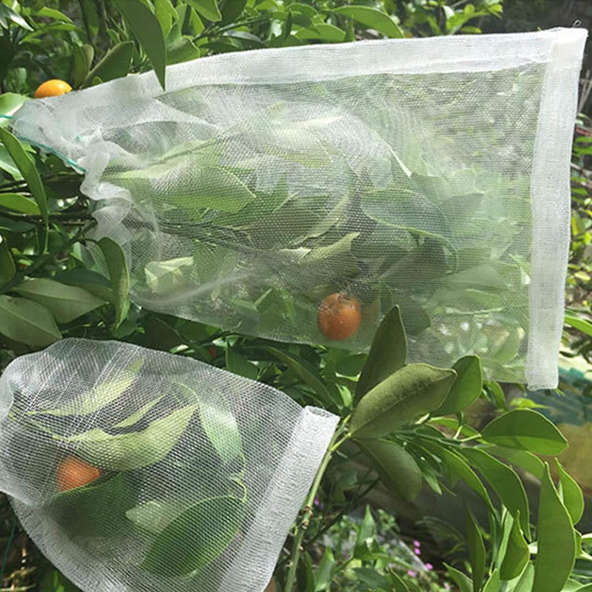 ECYC Ltd 50 Pcs White Fruit Protection Bags, Nylon Netting Bags Garden Plant Mesh Bags with Drawstring Fruit Cover Mesh Bag Reusable Fruit Tree Bag for Fruit Trees, Plant, Vegetables, 7.87" x 11.8"