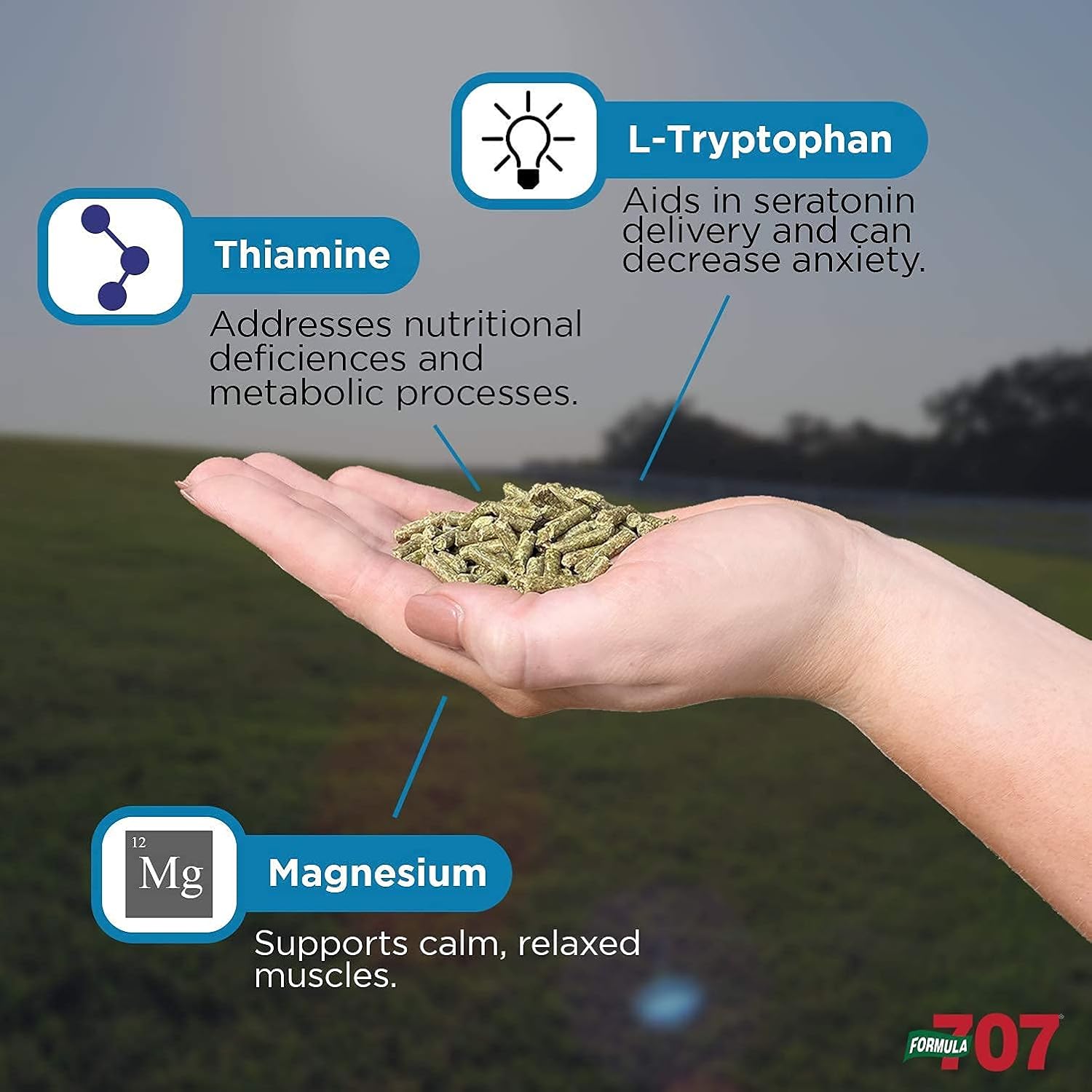 Formula 707 Calming Equine Supplement 5LB Bucket – Anxiety Relief and Enhanced Focus for Horses – L-Tryptophan, Thiamine & Magnesium : Horse Nutritional Supplements And Remedies : Pet Supplies