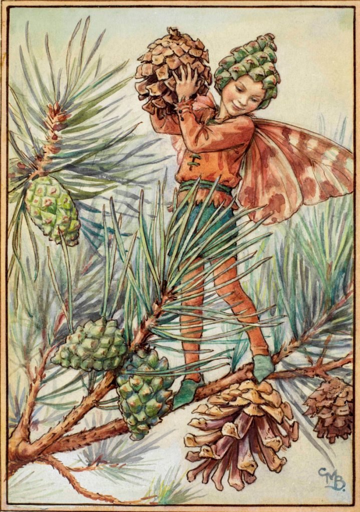 Cicely Mary BarkerThe Pine Tree Fairy Circa 1918 : Art Print