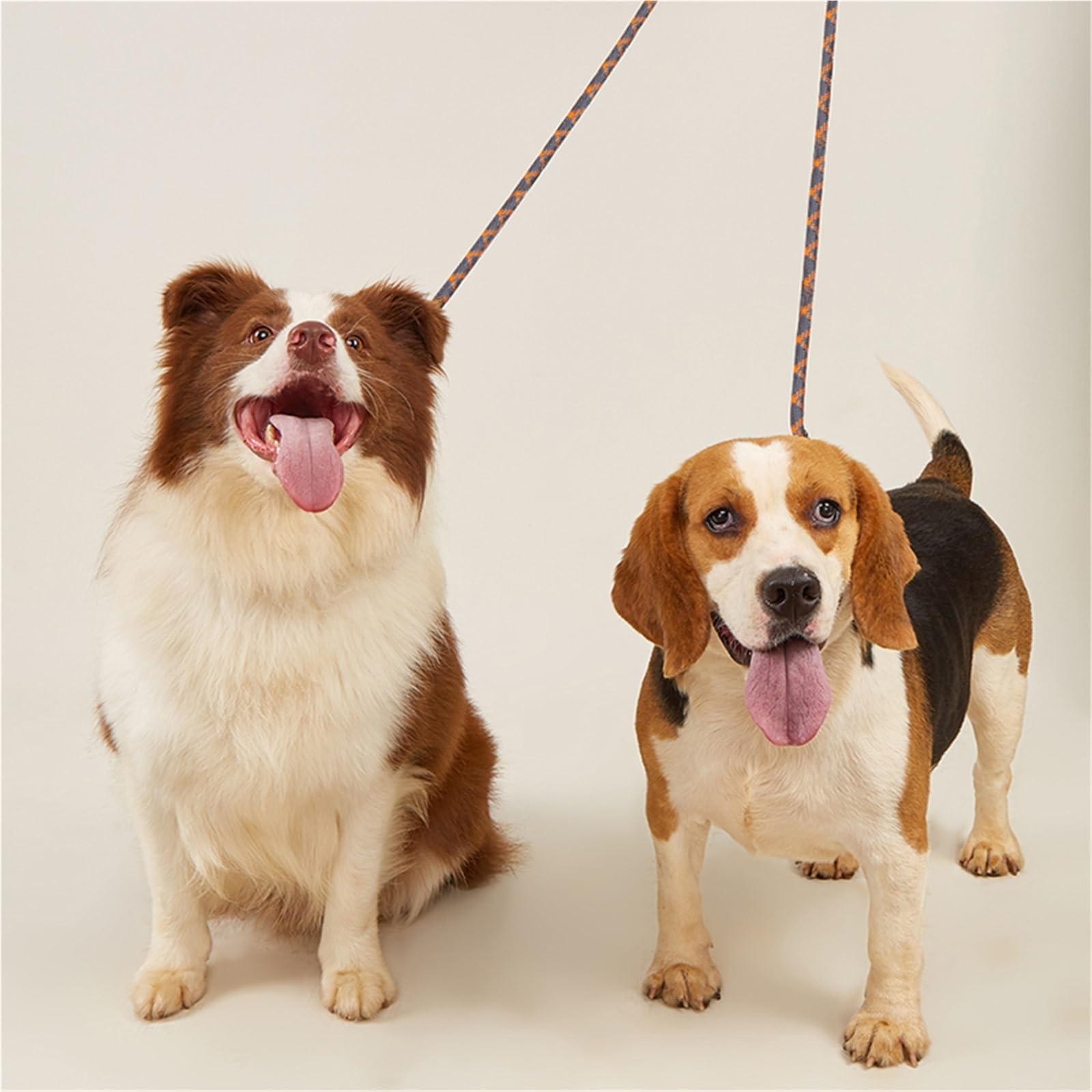 Correa Doble de Nailon for Perros, Cadena de tracción for Correr, Manos Libres, for Perros Grandes para Correr, Paseo