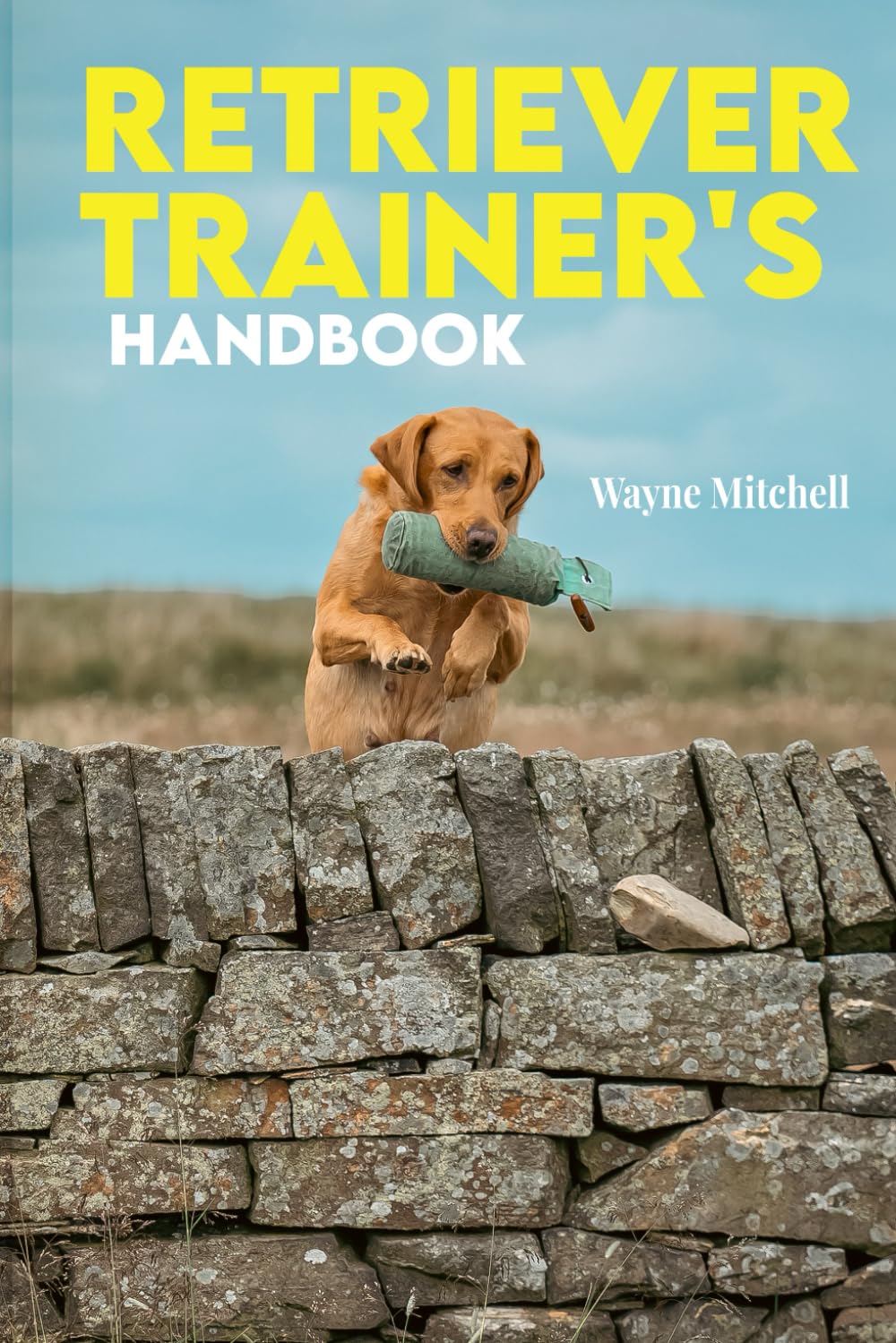 Retriever Trainer's Handbook      Paperback – January 25, 2024